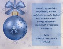 Więcej o Radosnych świąt